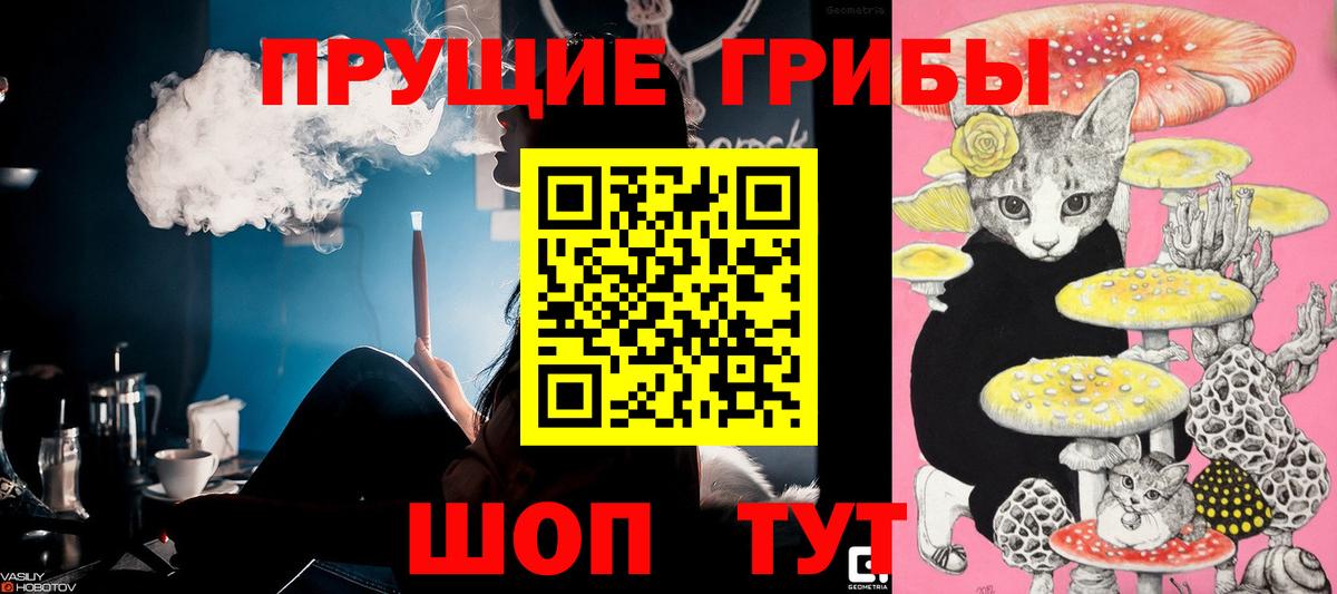 Галлюциногенные грибы Cubensis  Вход с VPN  Кудымкар  Псилоцибиновые грибы ЛСД 